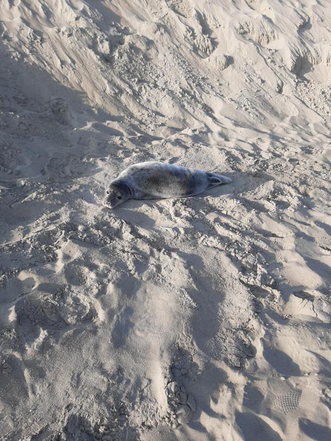 Blekkerke Villa Koksijde Dış mekan fotoğraf