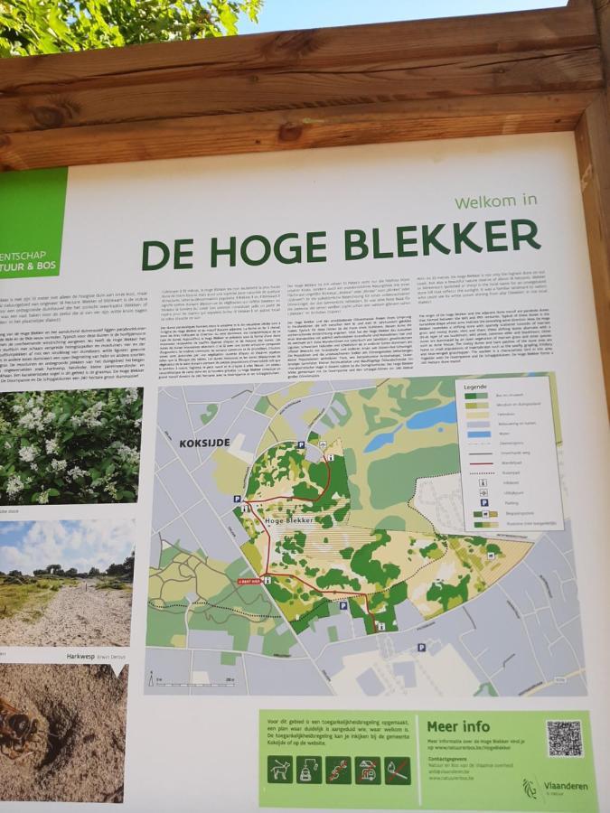 Blekkerke Villa Koksijde Dış mekan fotoğraf